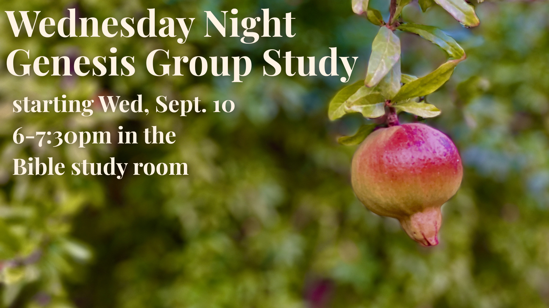 Genesis Group Study